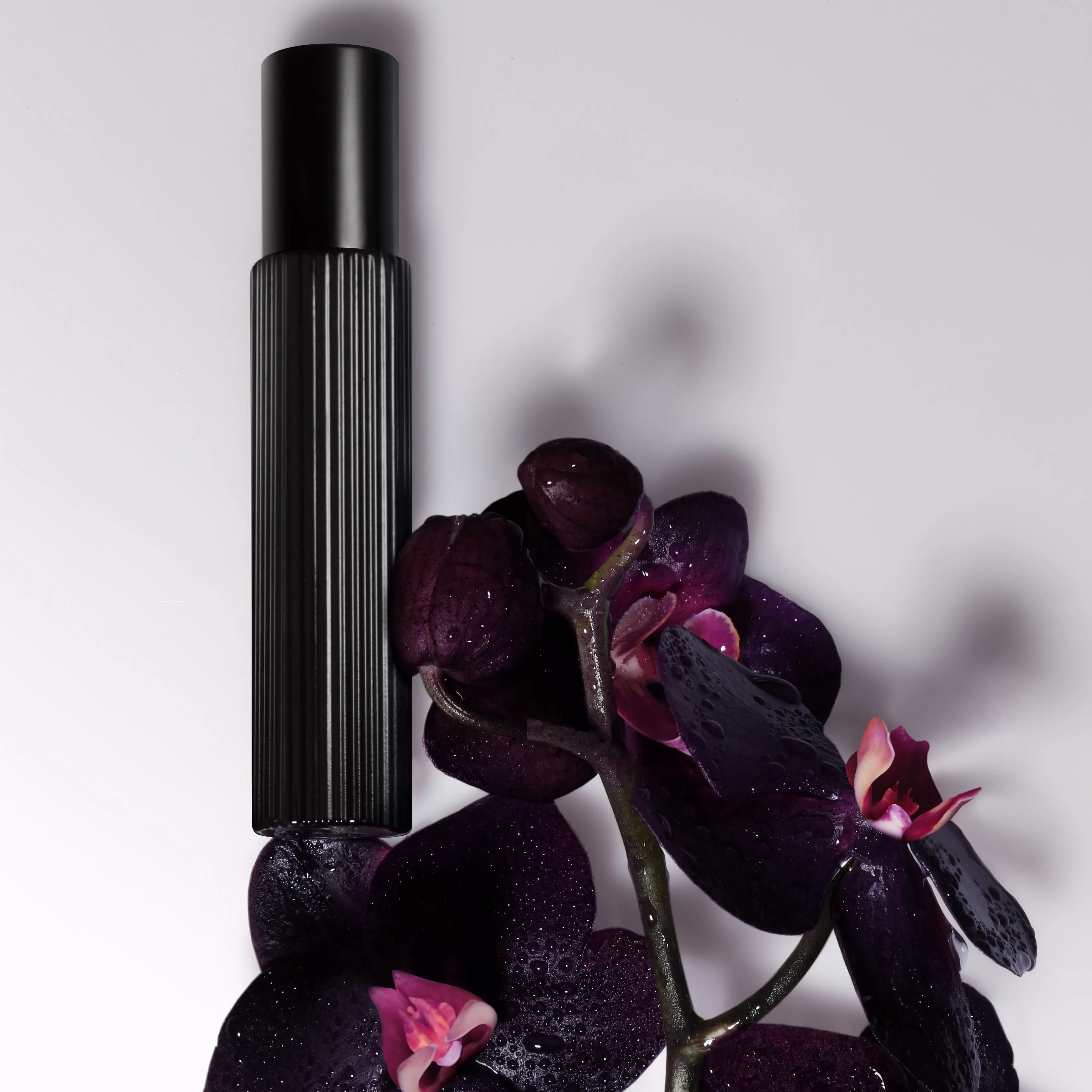 Black Orchid Eau de Parfum Set Black Orchid Eau de Parfum Set