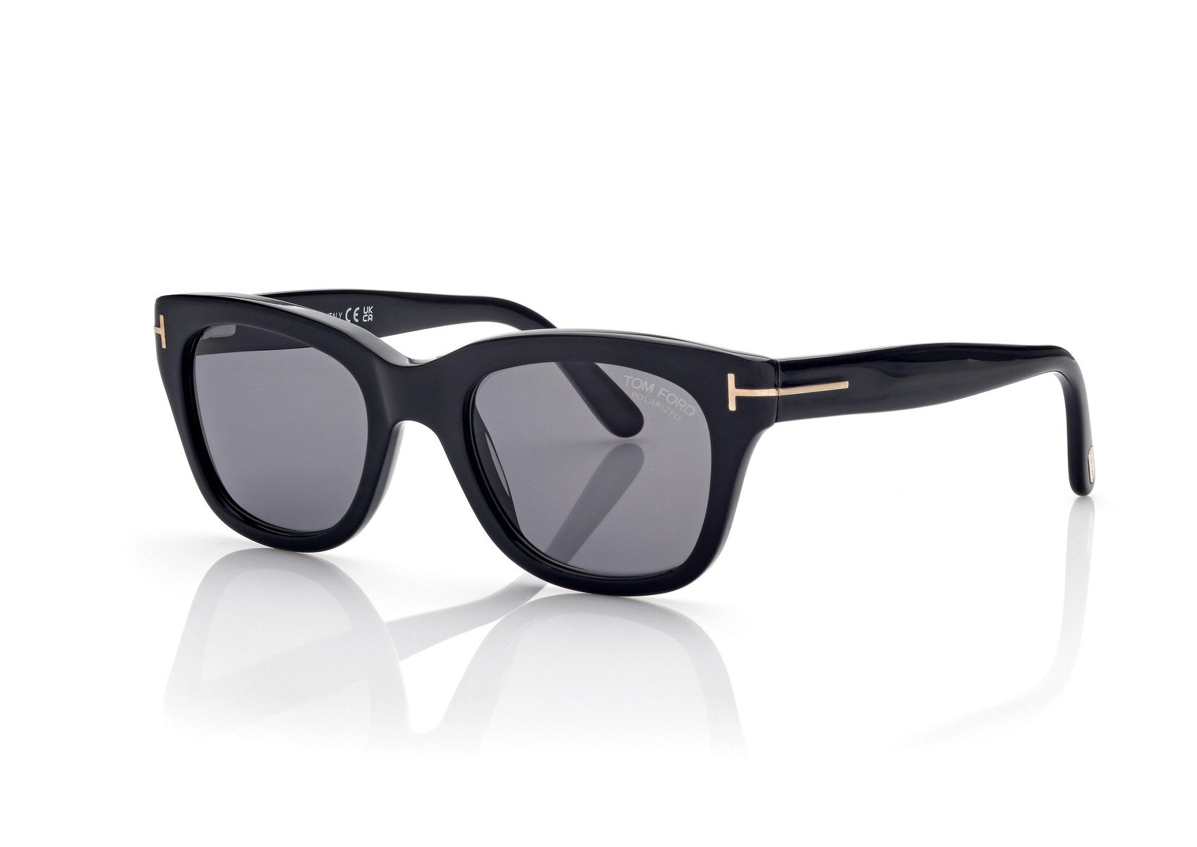 POLARISIERTE SNOWDEN-SONNENBRILLE