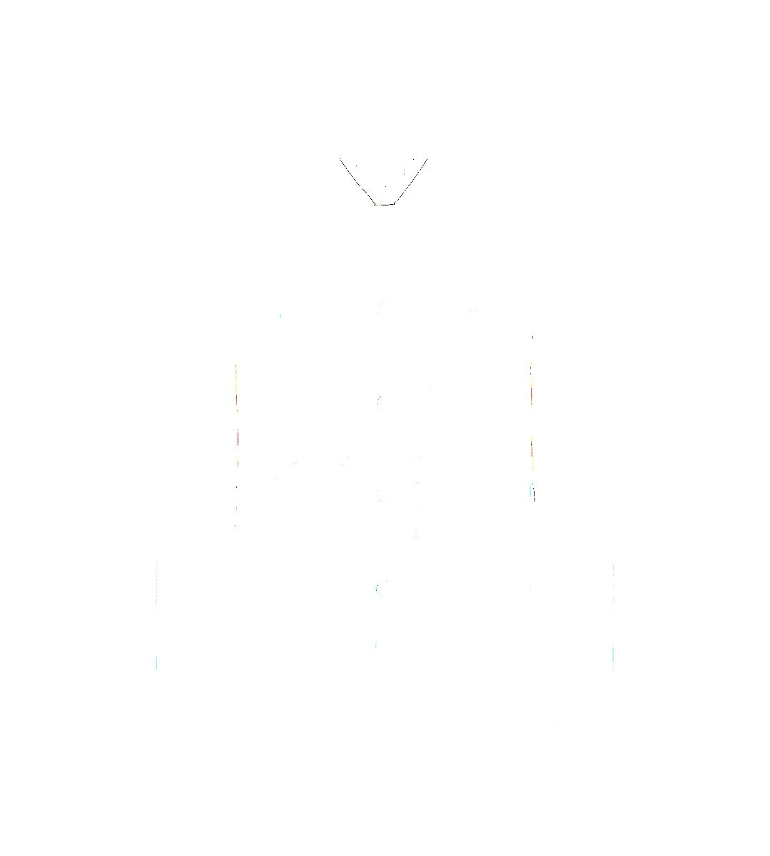 Westernjacke aus Kaschmir-Wildleder Westernjacke aus Kaschmir-Wildleder